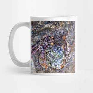 Best fishing gifts for fish lovers 2022. Crab camouflaged against rocks on the beach Mug